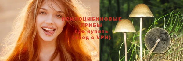 а пвп мука Абаза