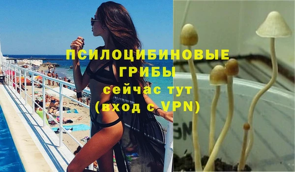 а пвп мука Абаза