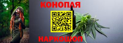 PSILOCYBIN Владимир