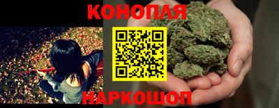 прущие крисы Владикавказ