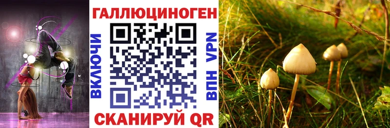 mega ONION  как найти закладки  Альметьевск  Псилоцибиновые грибы Cubensis 