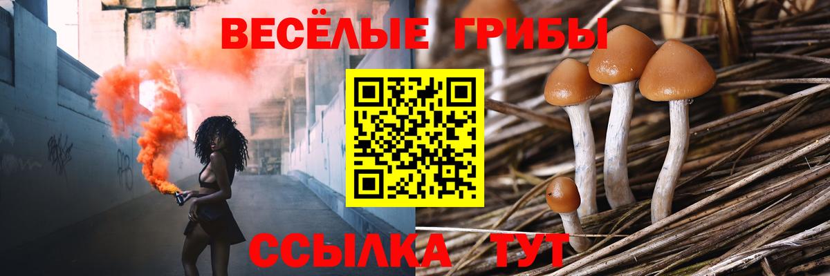 Галлюциногенные грибы Psilocybe  Вход с VPN  Альметьевск 