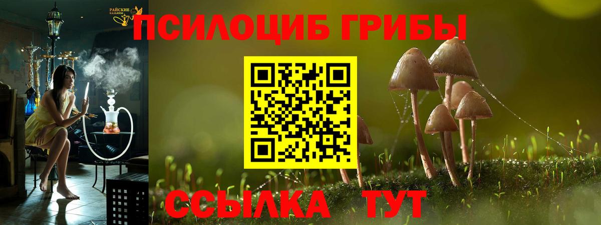 Псилоцибиновые грибы мицелий Альметьевск